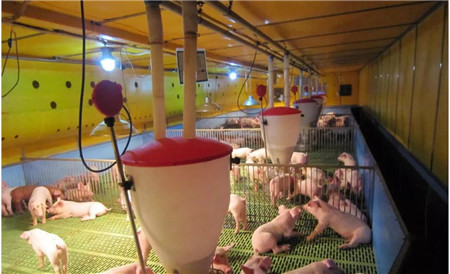 批次化生产时代到来,你准备好了吗?