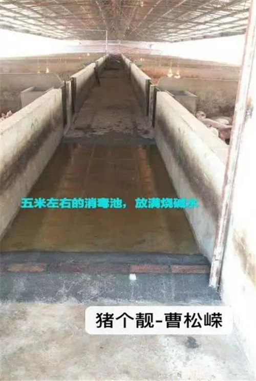 中国电子游艺网站下载安装