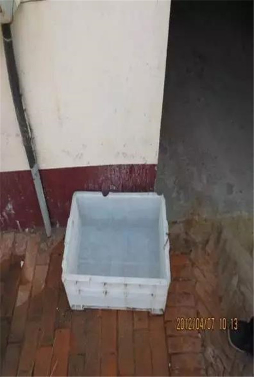 中国电子游艺网站下载安装