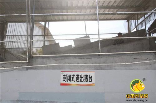 “铁桶电子游艺网站
”，这个电子游艺网站
开始卖猪了！