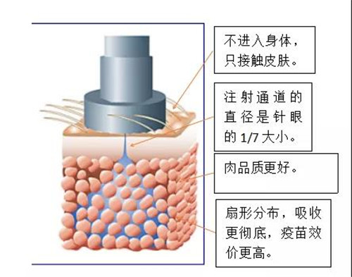 小针头，惹大祸！Pulse无针注射技术为您保驾护航！
