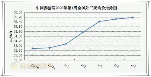 中国电子游艺网站下载安装
