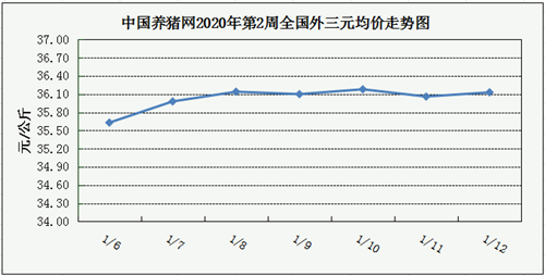 中国电子游艺网站下载安装