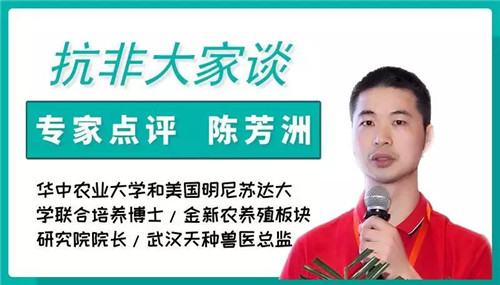 中国电子游艺网站下载安装