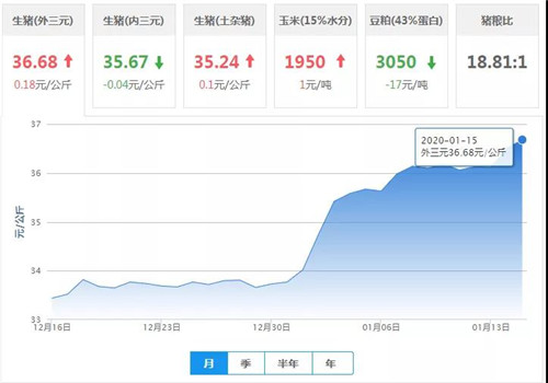 中国电子游艺网站下载安装