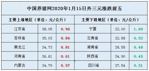 中国电子游艺网站下载安装