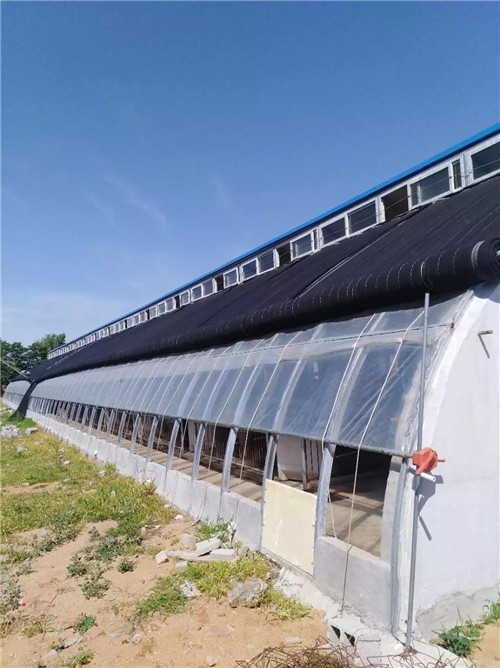 中国电子游艺网站下载安装