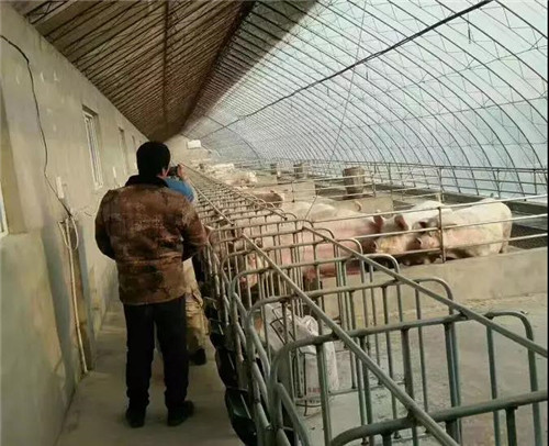 中国电子游艺网站下载安装