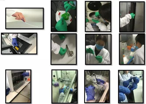 中国电子游艺网站下载安装