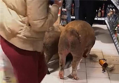 b7fd5266d0160924e7888e9893fe07fce4cd3486