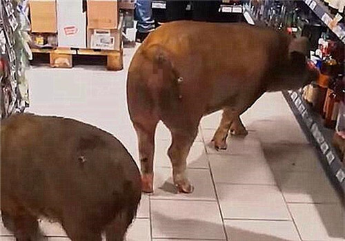 a1ec08fa513d2697065b671d120280fd4116d8e1