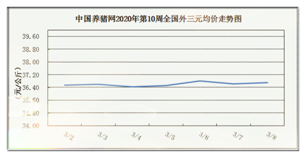 中国电子游艺网站下载安装第10周综述