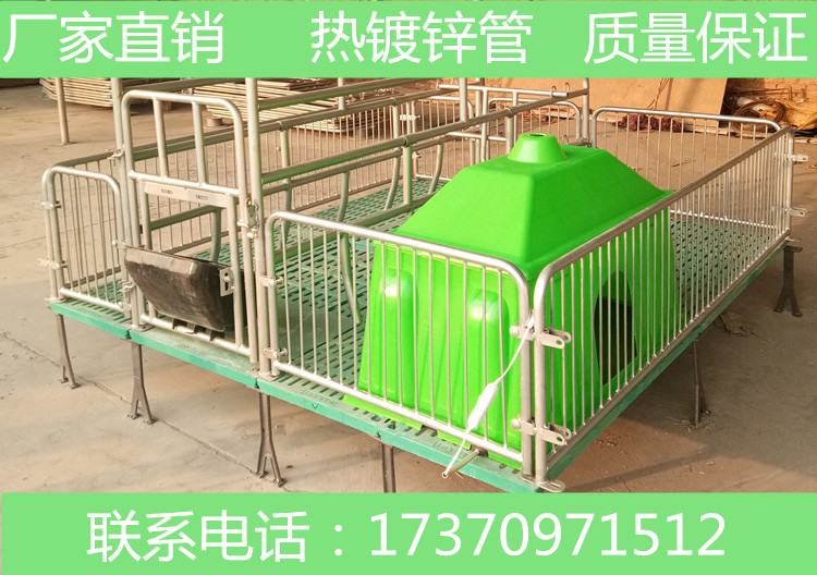 怎样减少电子游艺网站
母猪流产的现象