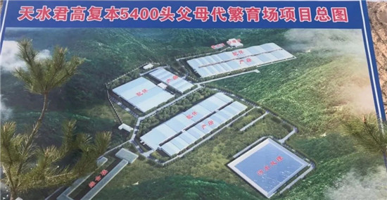 4月18日，京鹏环宇畜牧合作打造的唐人神天水君高复本农业有限公司第一批生猪入场。