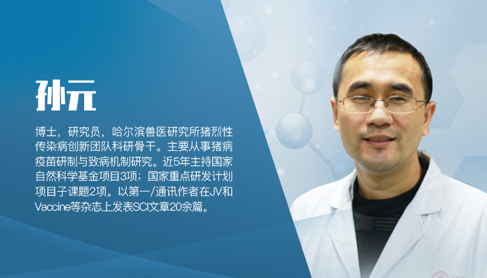 孙元：非洲猪瘟背景下的中小规模养电子游艺网站生存之道