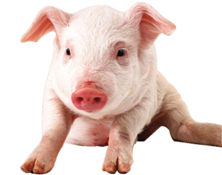 邵国青：最高水平的管理态度 使电子游艺网站立于不败之地