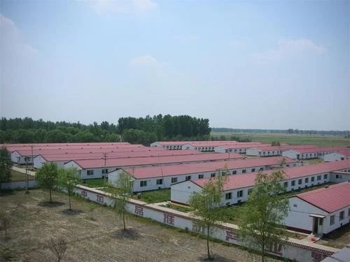 最全电子游艺网站
建设知识，你想知道的都在这里？