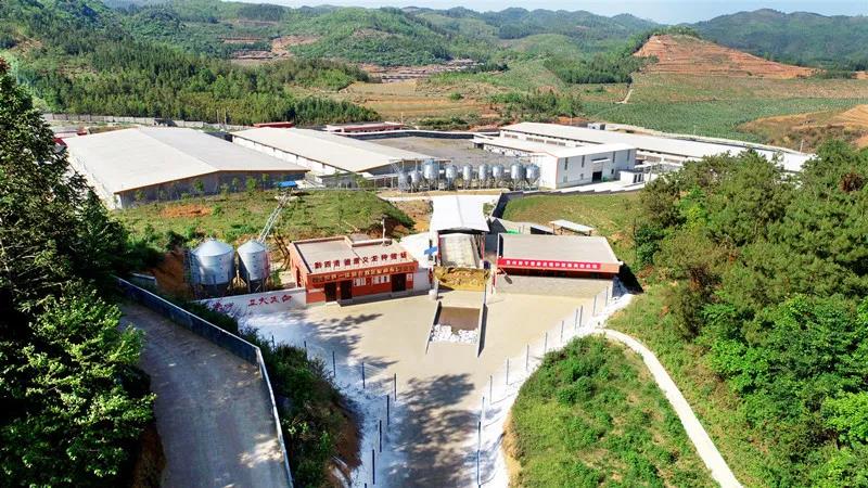 日前，在相关政府部门的规范指导及监管下，德康集团从法国Topigs引进的500头终端父本原种猪在集团组建的第7个核心育种场——义龙种场顺利通过了为期45天的隔离检疫。此次引种是贵州省首次从国外引进原种猪，更是截至目前全国终端父本原种猪单次规模最大的国际引种。