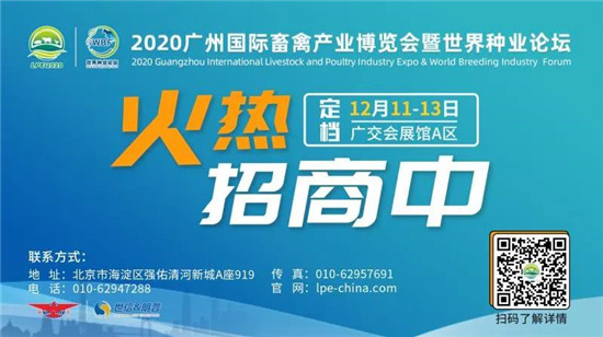 LPE2020线上展览直通车，线上先相见，线下更来电！