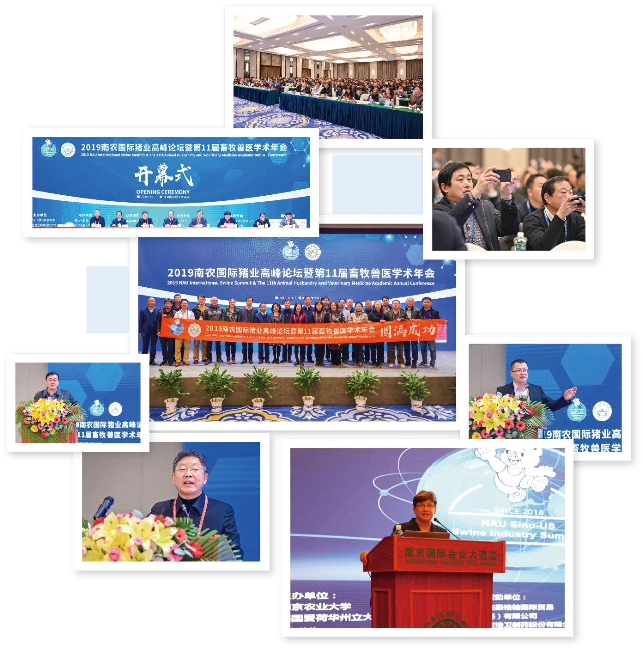 重磅！2020第五届南农国际猪业高峰论坛即将隆重登场！