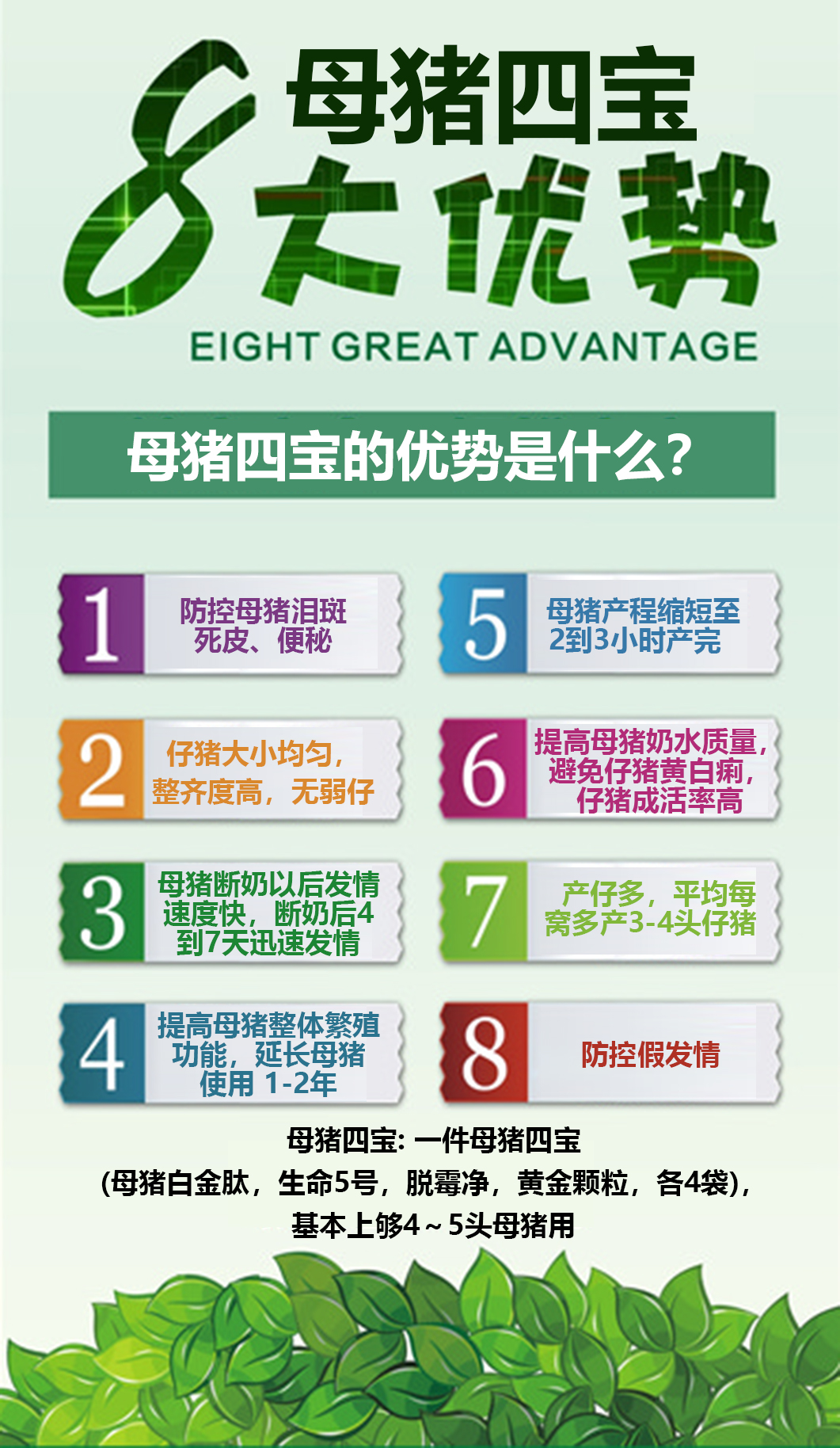 2020母猪的饲养管理方法 