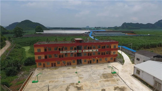 堪称教科书！从200头母猪到5000头，他经历了什么?（下）