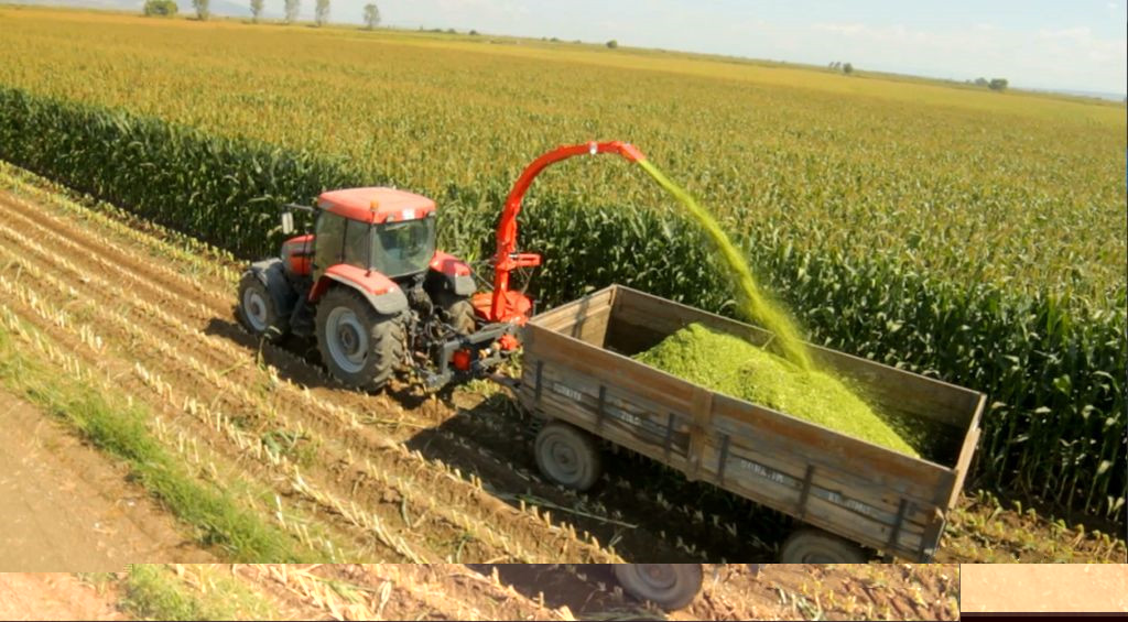 市场需求不减，产区玉米运输受阻！出货恢复后，玉米价格或将回归！