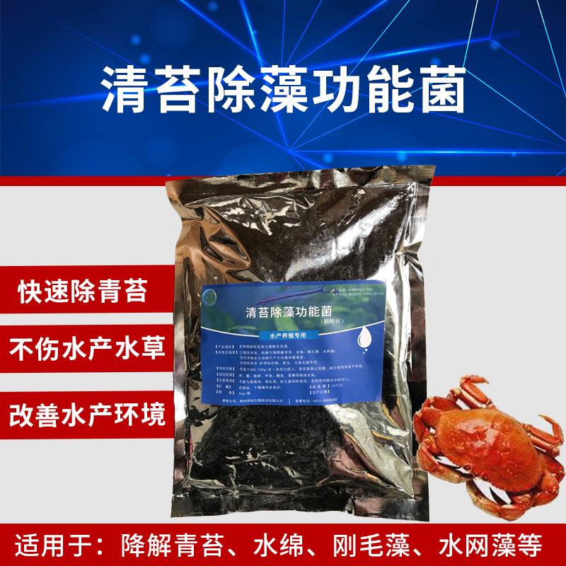 池塘的毛藻怎么清理