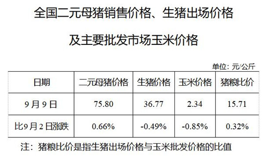 2020年09月09日猪粮比：生猪价格及玉米批发价格
