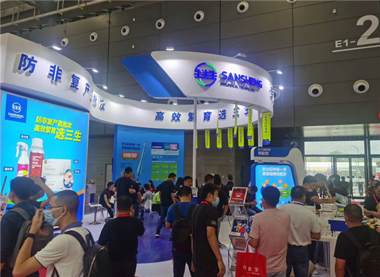 批次化生产如何助力猪群健康?搭配定时输精技术,效果更佳!