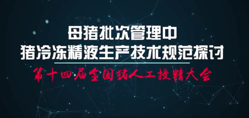  张树山：母猪批次管理技术要点