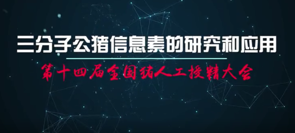  赵勤辉：三分子公猪信息素的研究和应用