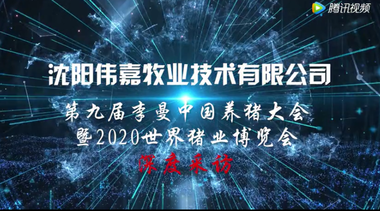 “产品、技术、服务”—— 沈阳伟嘉精准把握市场动向及需求特点!
