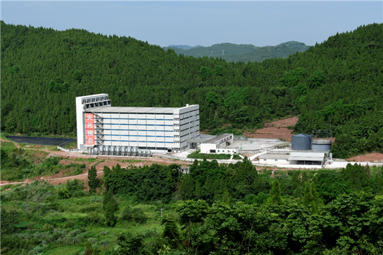 深度报道 | 天兆猪业成为“种猪第一股”的密码是什么？