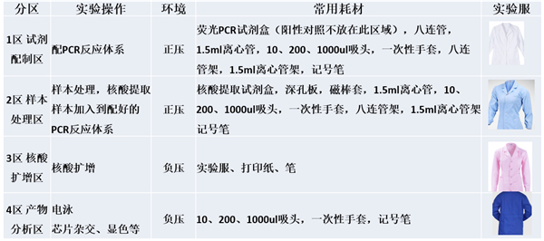 中国电子游艺网站下载安装