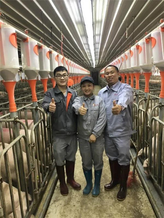 猪价暴涨之下，一个10000头母电子游艺网站
的“隐忧”（上）