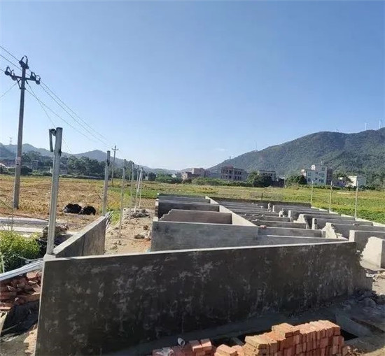 拆除现场曝光！在基本农田违建猪舍，执法出动70余人整治！（之二）