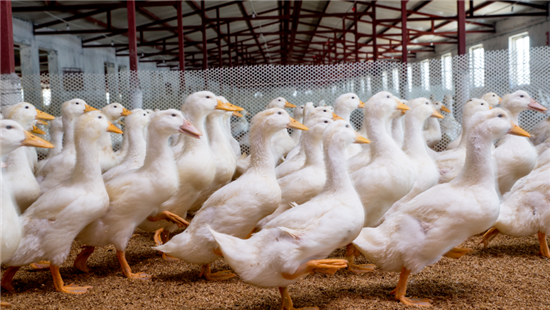 【希望的故事】我们与企业共成长