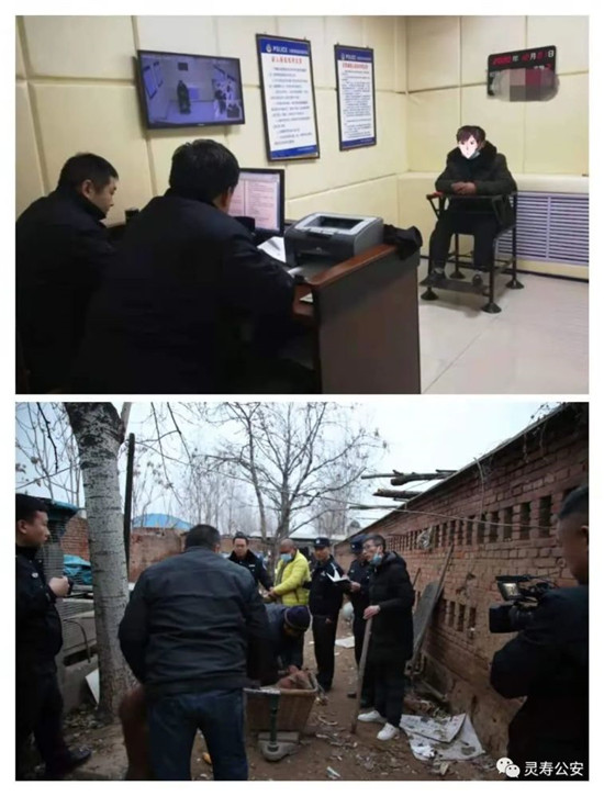 灵寿警方破获系列盗窃生猪生羊案