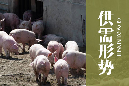 2021年11月中国农产品（玉米、大豆）供需形势分析