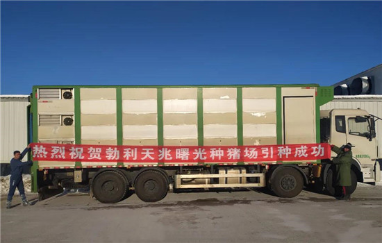 喜报！勃利天兆曙光种电子游艺网站
顺利引种投产