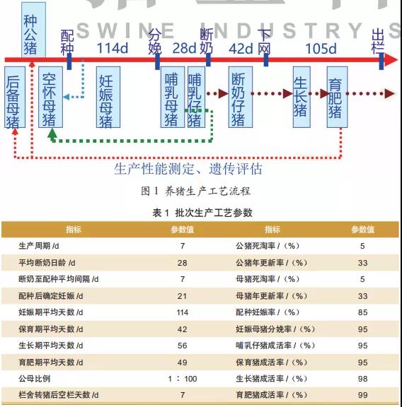 母猪批次化生产电子游艺网站
的各类猪群存栏数及占栏数的计算(一)