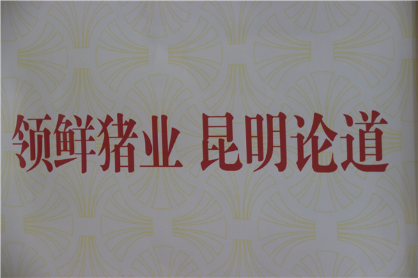 中国电子游艺网站下载安装
