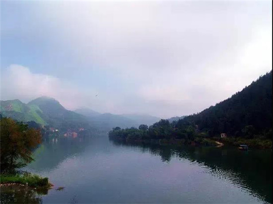 N-氨甲酰谷氨酸！上等产品创优质品牌，元昌持续发力！