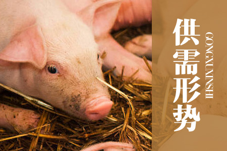 2021年07月中国农产品（玉米、大豆）供需形势分析