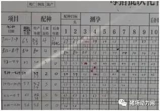 批次生产模式,助力电子游艺网站
做好非瘟防控