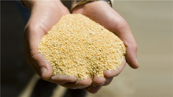 中国电子游艺网站下载安装