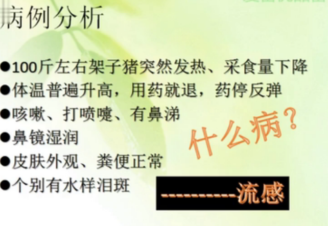 猪流感的诊断预防与治疗知识讲座