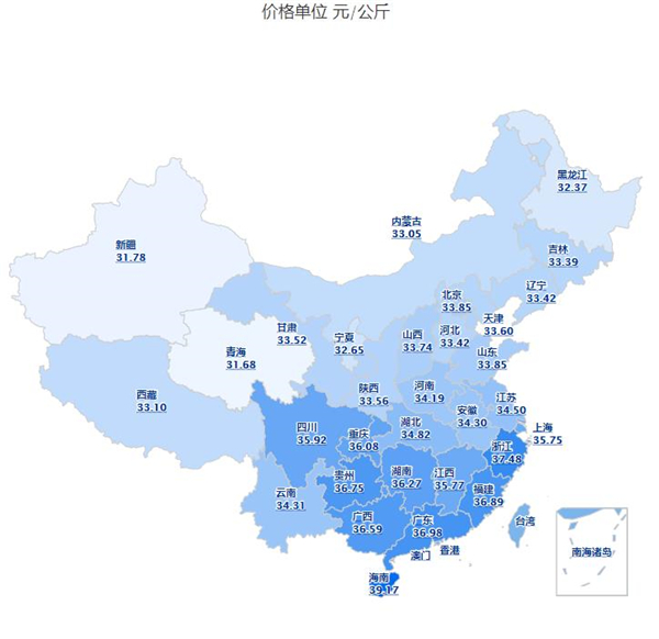 中国电子游艺网站下载安装