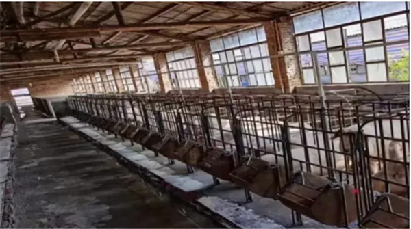 蓝雷尚书房 | 电子游艺网站
非洲猪瘟传播的阻断与清除。